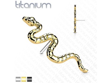 Вставка из титана змея
